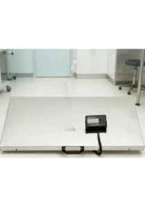 Scale